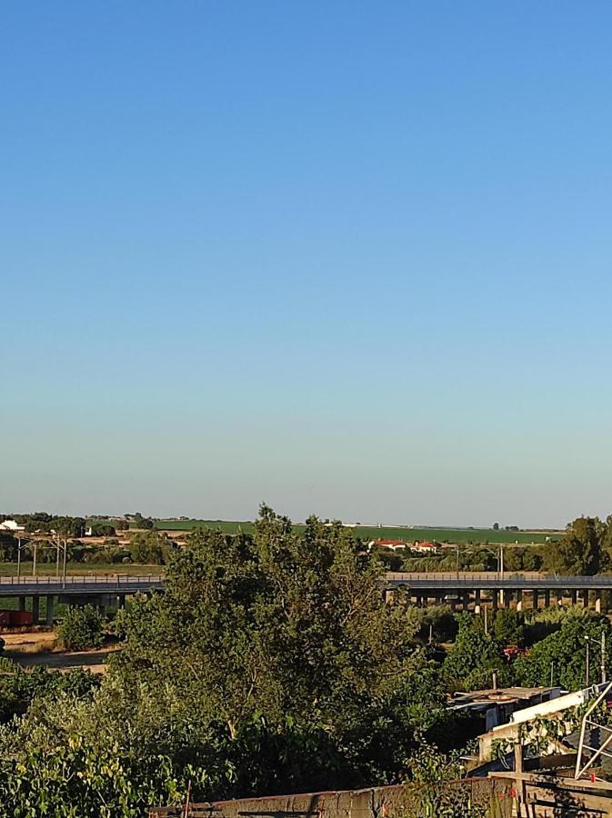 Holiday home Mansao Alentejana Al Alvalade